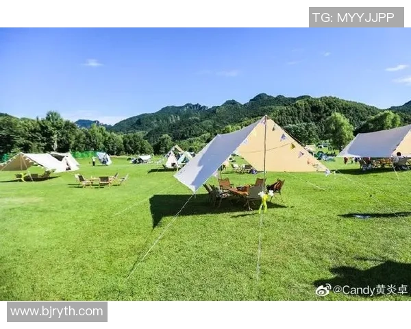 武汉飞盘队引领潮流变革探索全新竞技节奏与团队协作之路